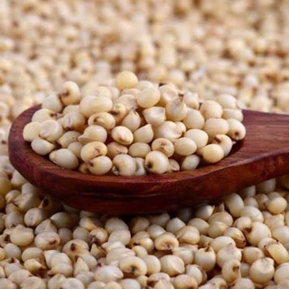 Jawar (Sorghum) — Oswal Brothers Bikaner